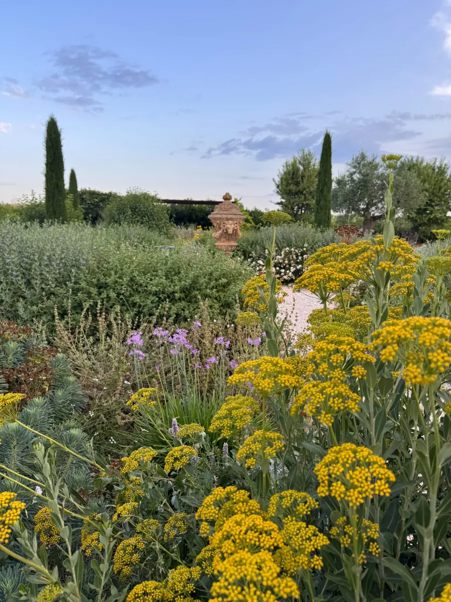 Jardin méditerranéen aménagé par Guitard Philippe Paysagiste