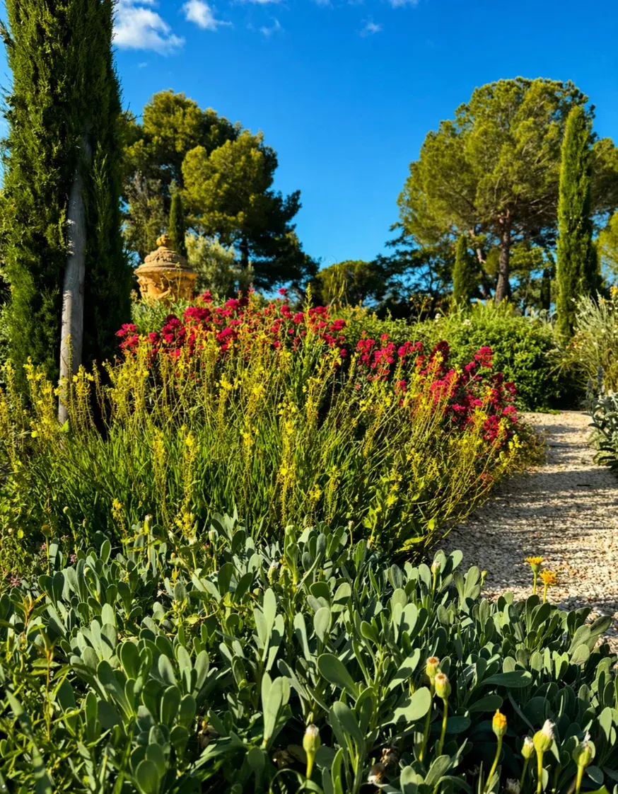 Jardin méditerranéen créé par Guitard Philippe Paysagiste